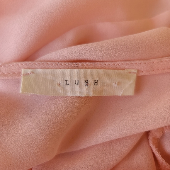 LUSH NORDSTROM Pink Chiffon Crop Top M Blouse Tapered Bell Sleeve Embroidered - Picture 10 of 14